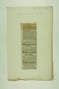 img0006554.jpg