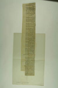 img0006704.jpg
