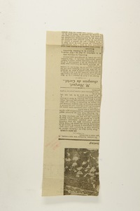 img16279.jpg