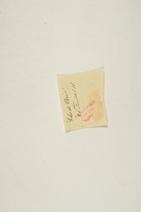 img35893.jpg